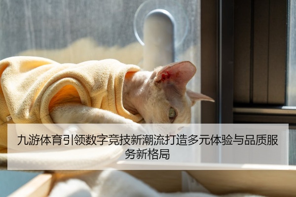 九游体育引领数字竞技新潮流打造多元体验与品质服务新格局
